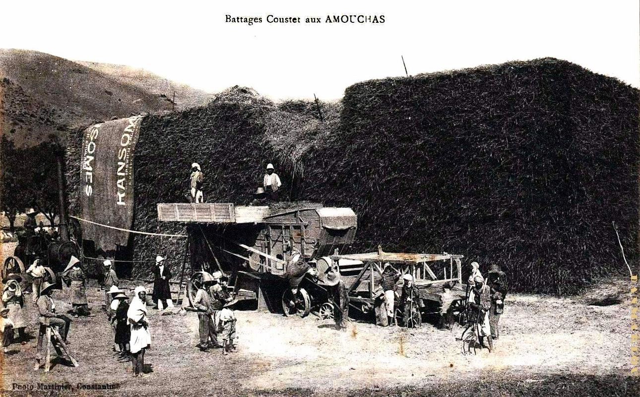 Amouchas - Pres de Setif - Battages Couster.jpg